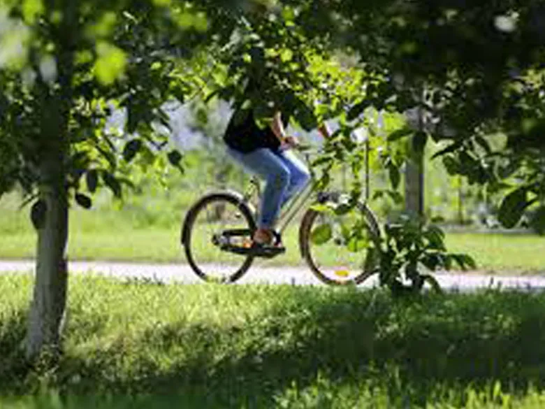 Outdoor activities photo
